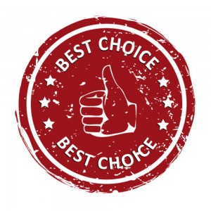 Best Choice thumbs up logo