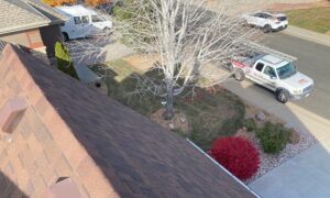 roof replacement looking down over yard
